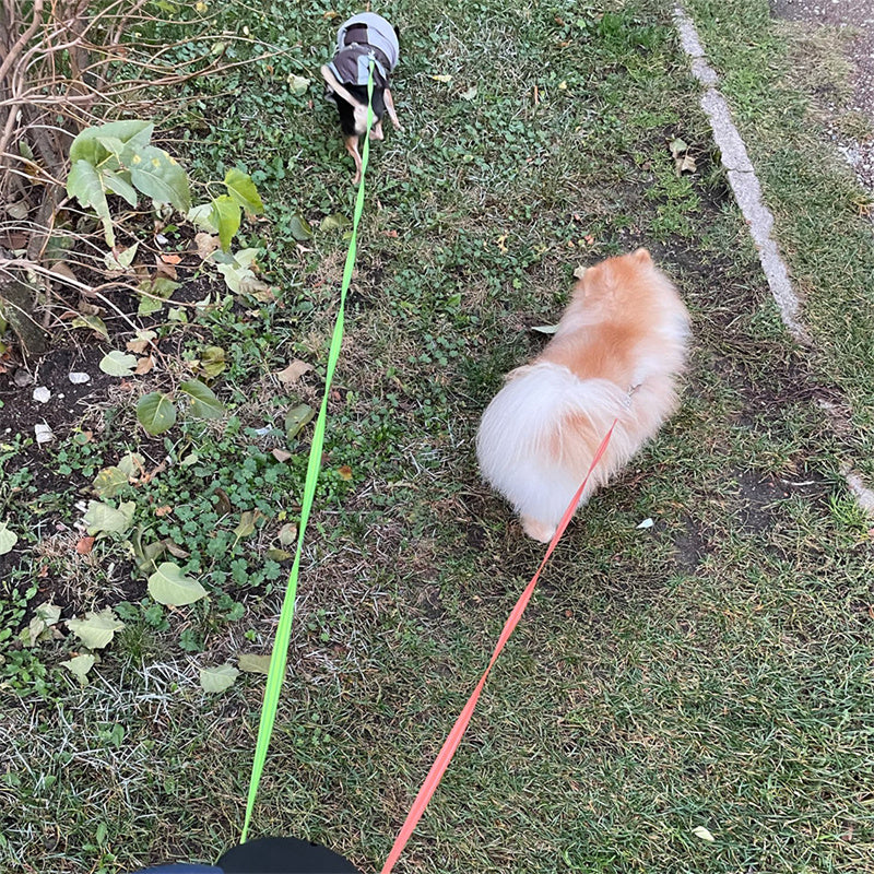 360° Tangle-Free Dual Retractable Dog Leash